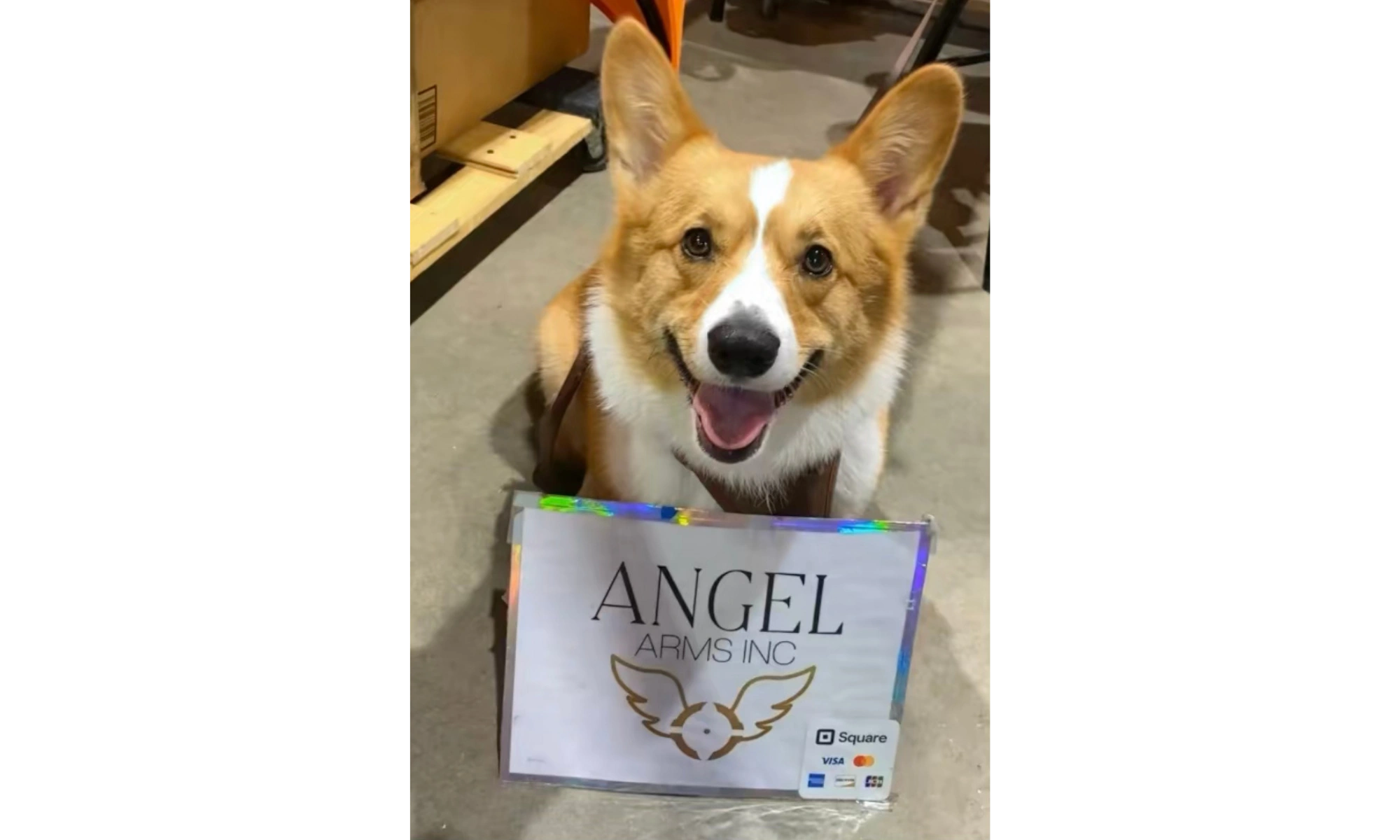 Angel Arms Inc. gallery photo